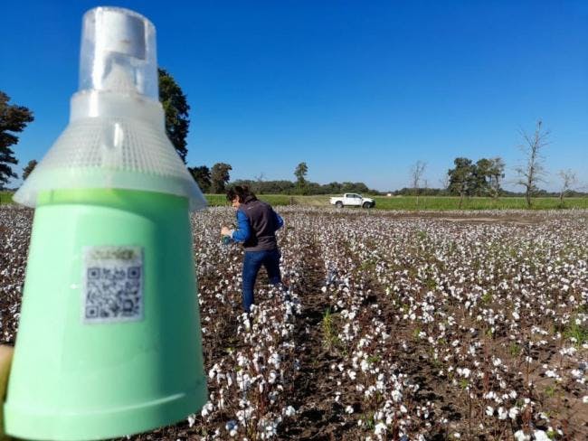 New Technology Applied to Cotton Boll Weevil Monitoring