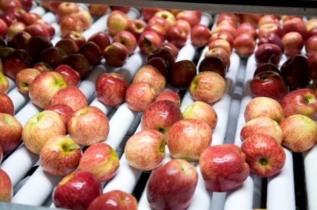 Brazil unblocked the entry of Argentine pears and apples