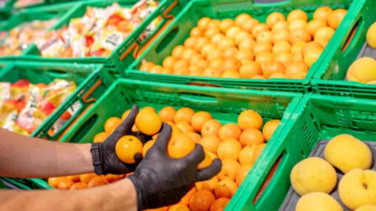 Argentina: Código QR para fruta con tratamientos cuarentenarios