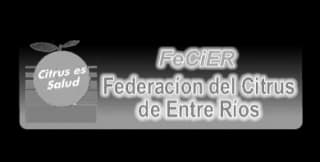 FECIER